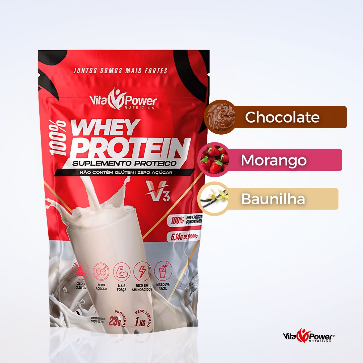 100% Whey Protein V3 1KG Refil