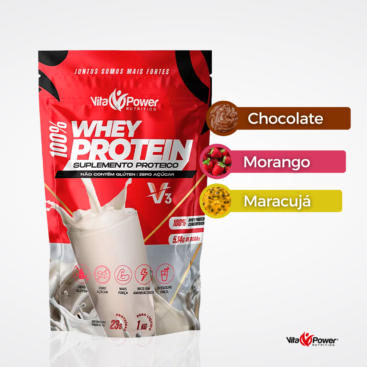 100% Whey Protein V3 1Kg